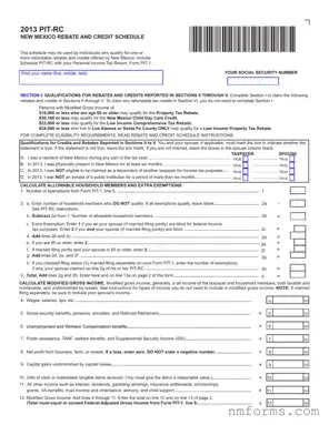 Fill Out Your New Mexico Pit Rc Form