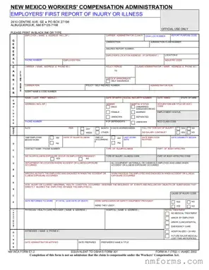 Fill Out Your New Mexico Report Form